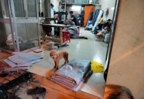 May mui bạt xe tải giá rẻ TPHCM